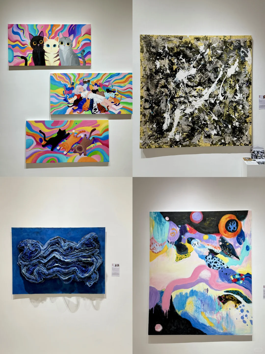 中山！！！爆好看巨出片毕设展！！！！