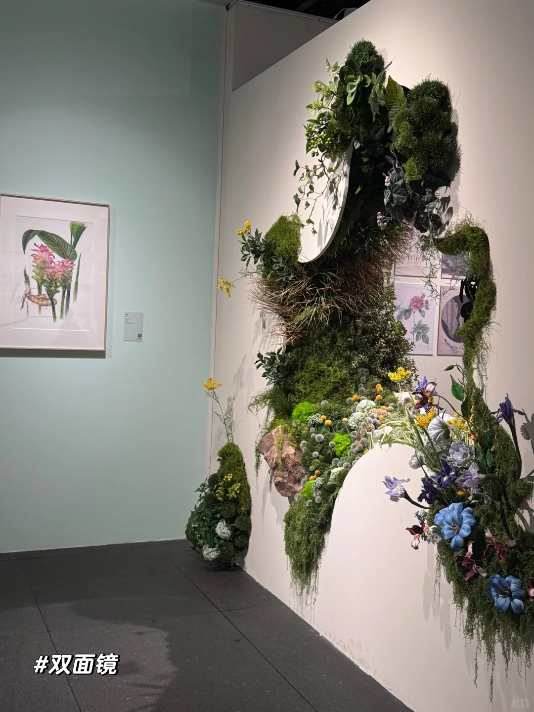 深圳｜7月，值得打卡的四个新展✔️附攻略