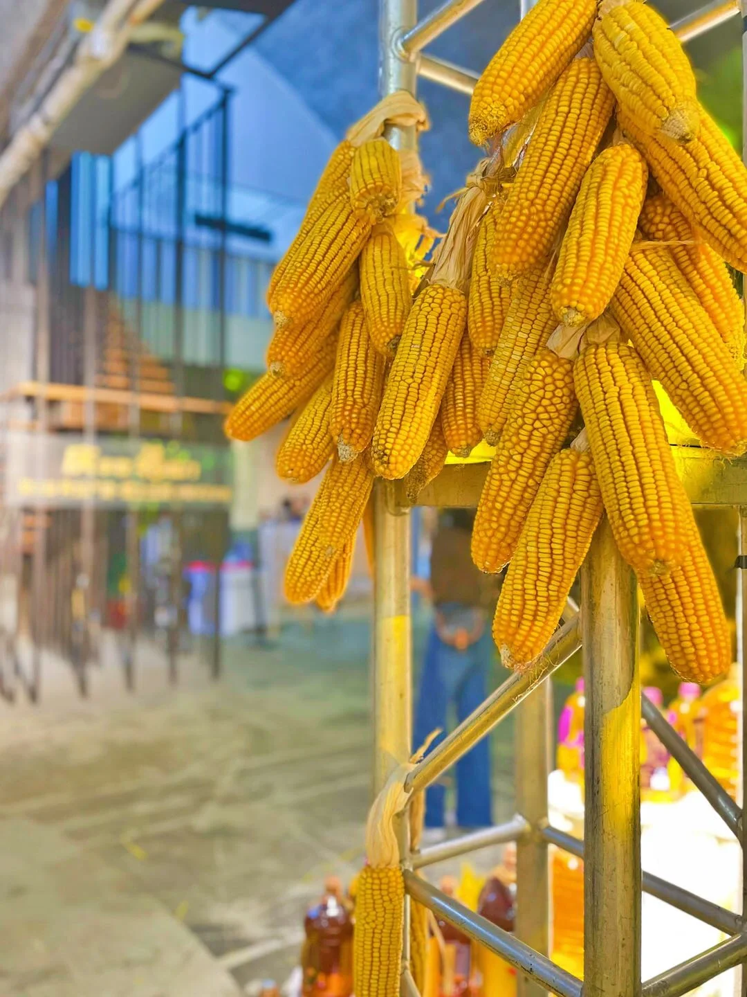 在收获的季节里打卡一场关于丰收的展览?