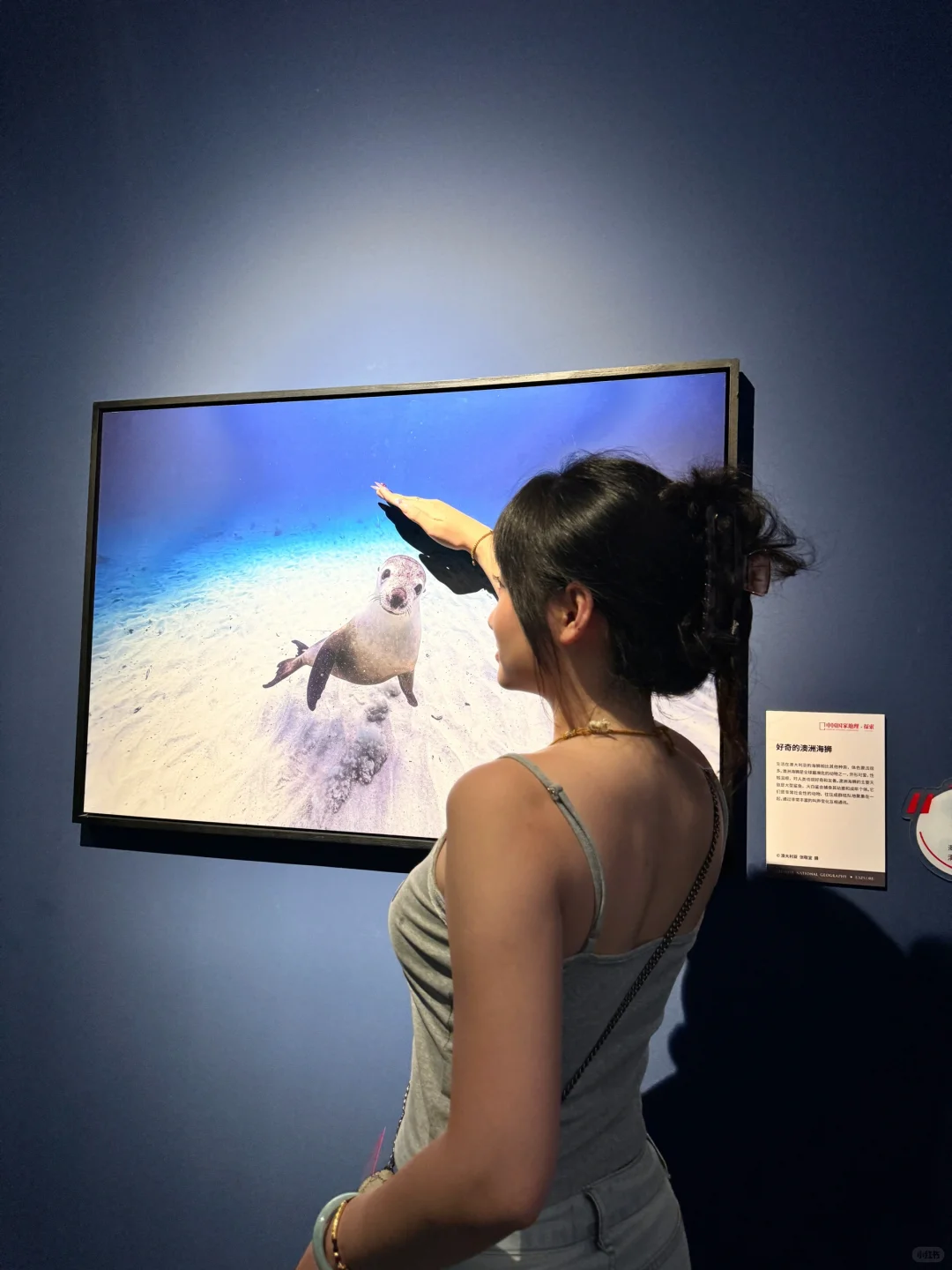 石家庄地理展