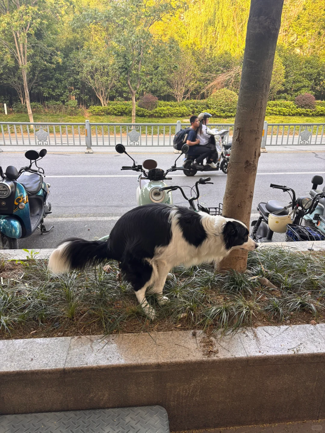 江南大学设计学院毕业展真的很壮观