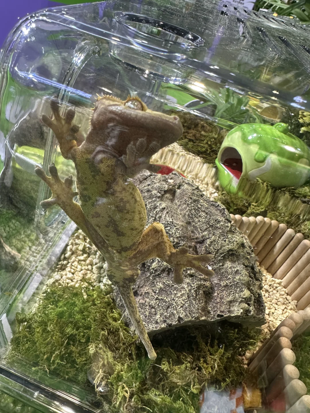 到了~打卡～