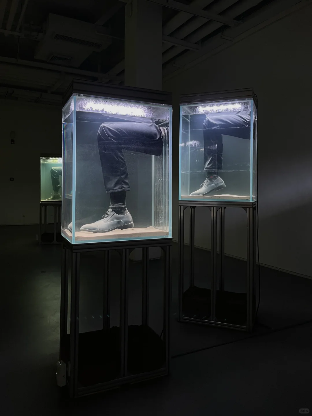 最近看的那些展