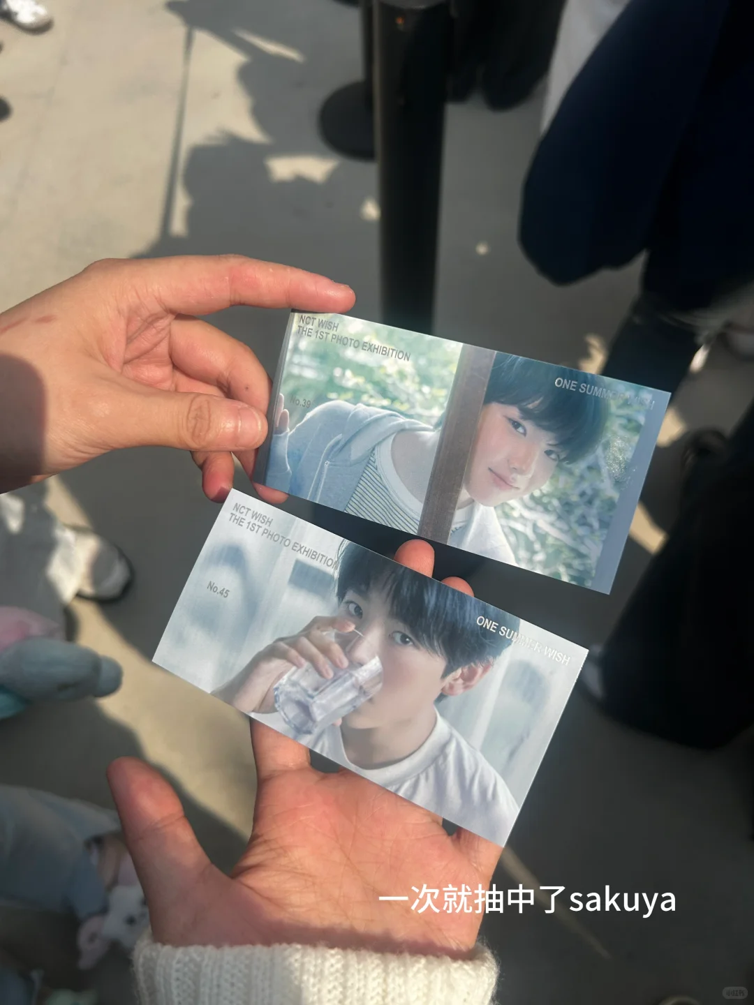 花园展会像梦一样的一幕 蓝天白云许愿房