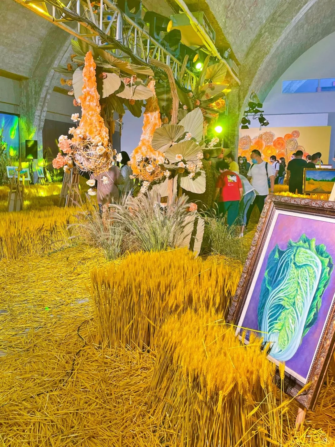 在收获的季节里打卡一场关于丰收的展览?