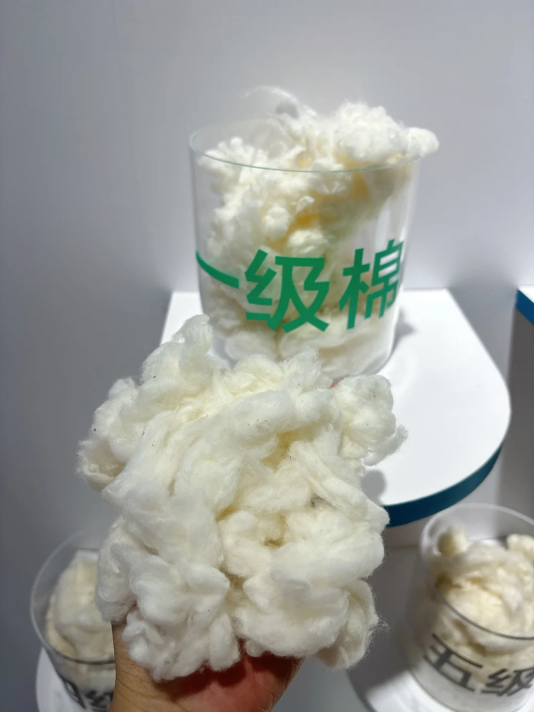 北京链博会打卡！钻进棉花的世界