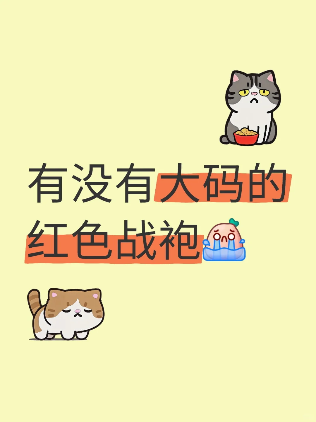 红色演唱会战袍