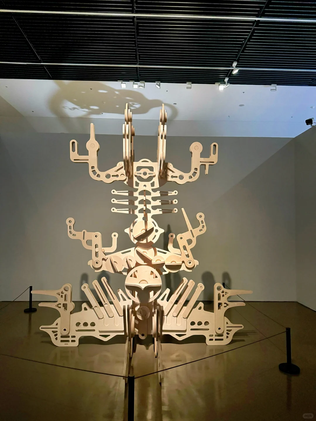 上海动态艺术展 | 想象力起飞 免费人少❗️
