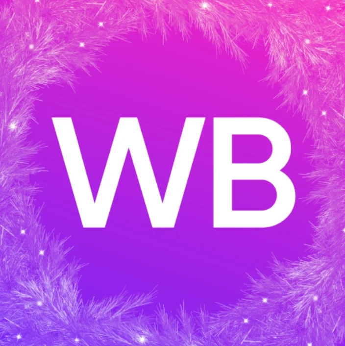 ?4.15 WB招商会，商业机遇大揭秘宝子