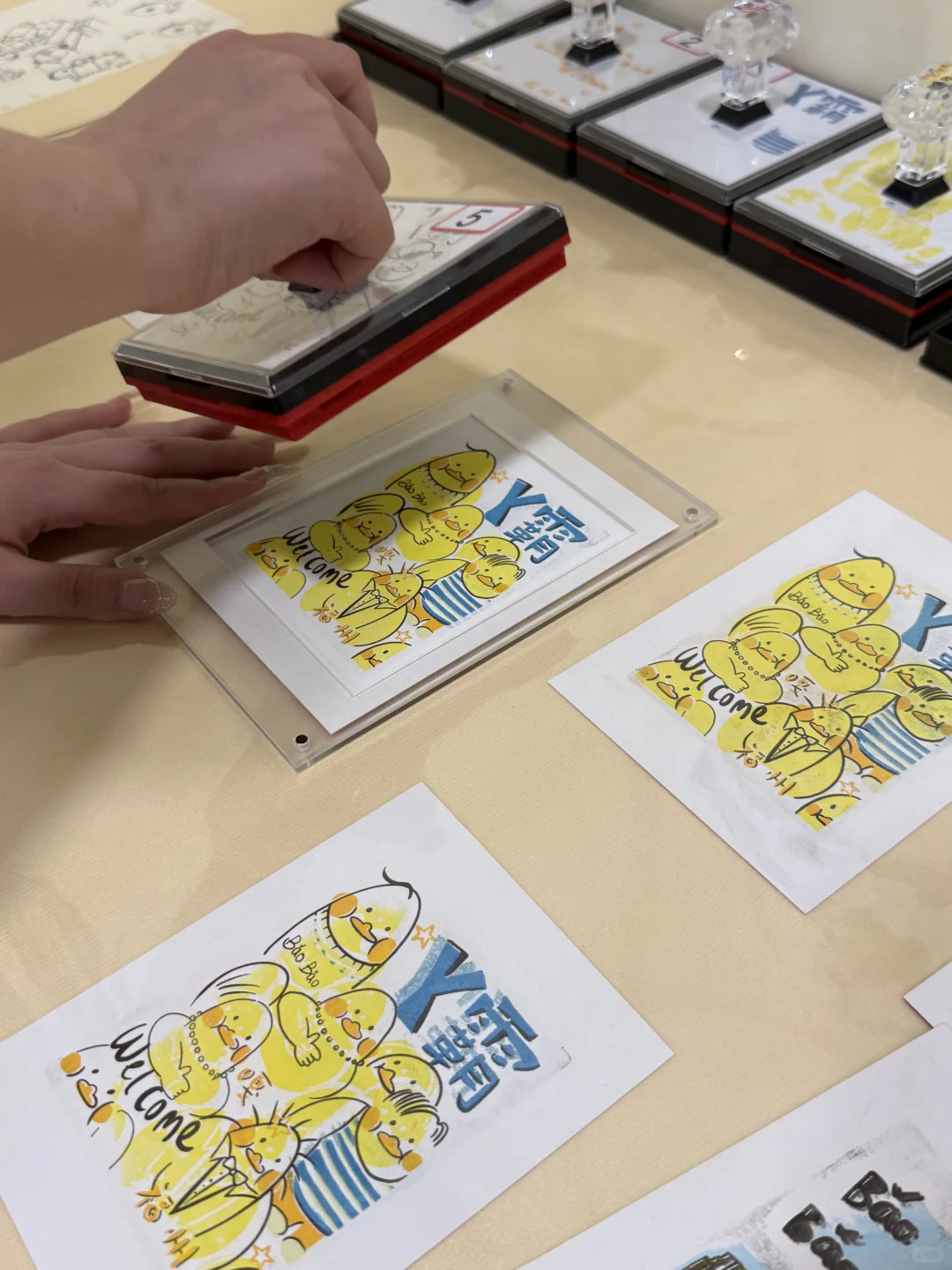 石家庄新展BǎoBǎo来了❗️‼️