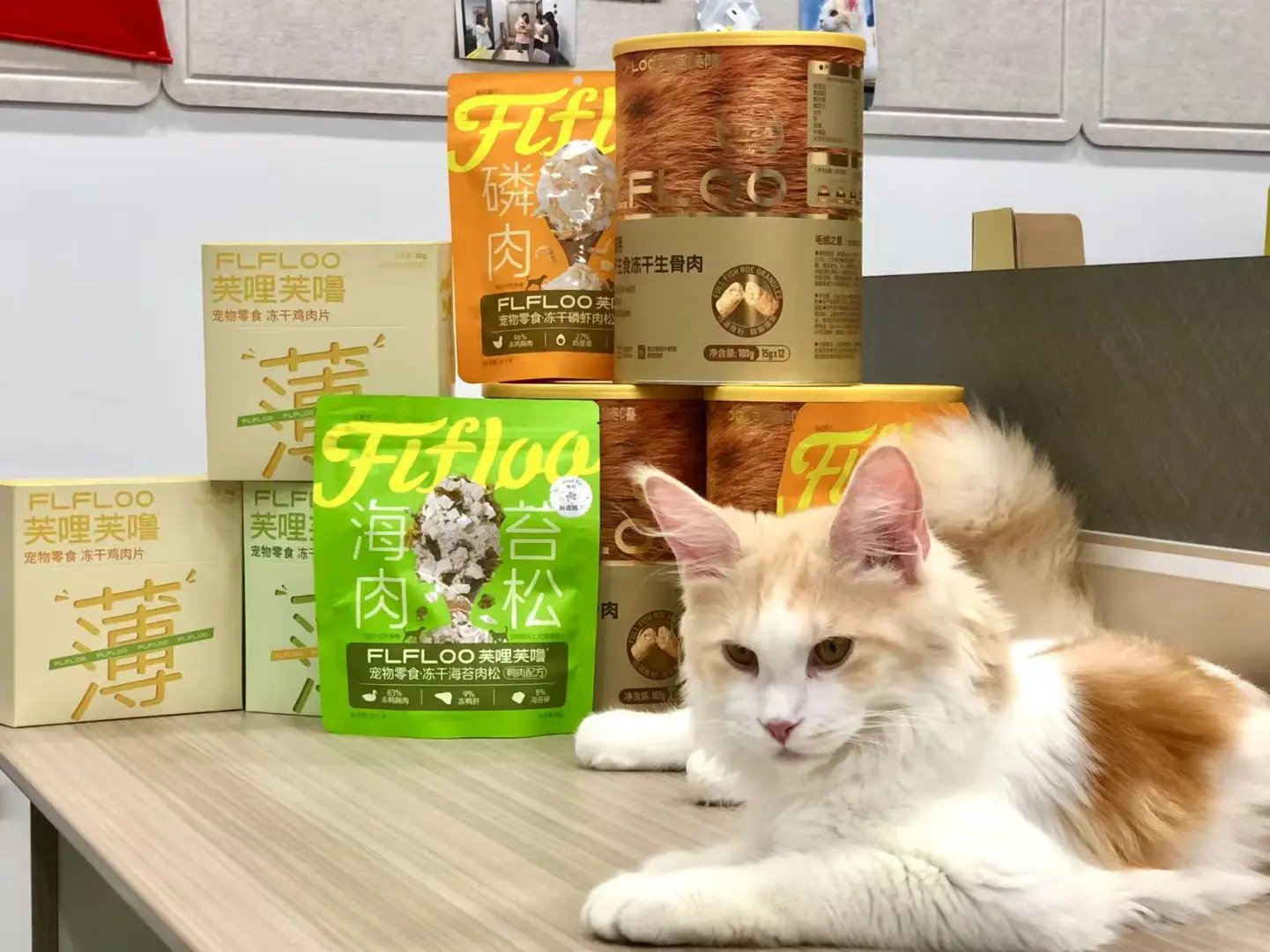 上海亚宠展兼职招募 | 宠物脑袋速来贴贴！