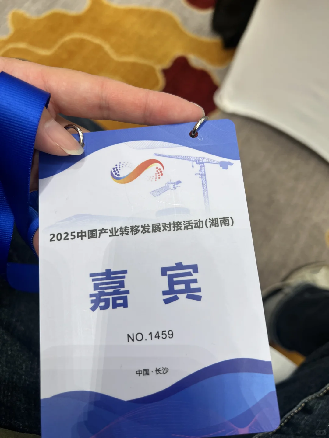 2025中国产业转移发展对接会（湖南）
