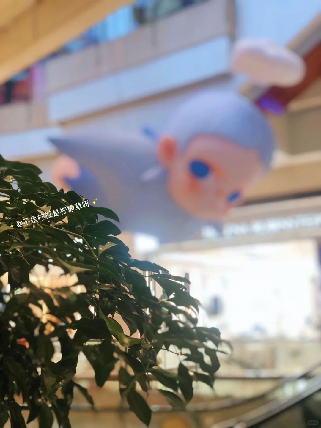?北京国贸Zsiga首展‼️解锁治愈系童话世界