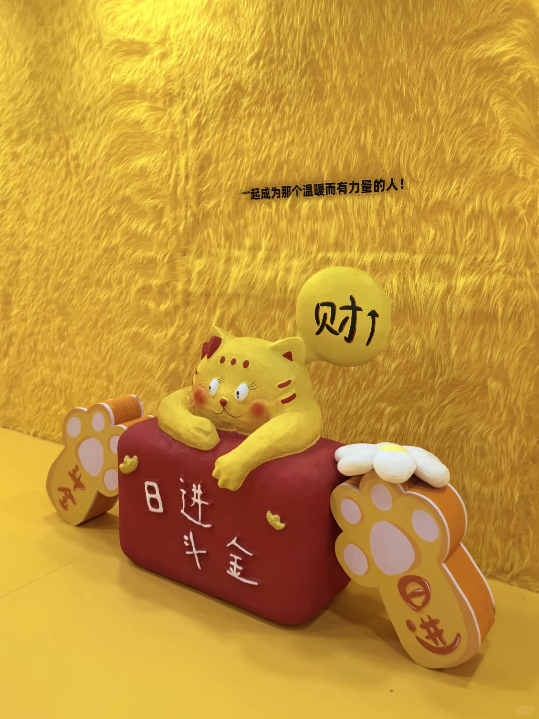 石家庄新展BǎoBǎo来了❗️‼️