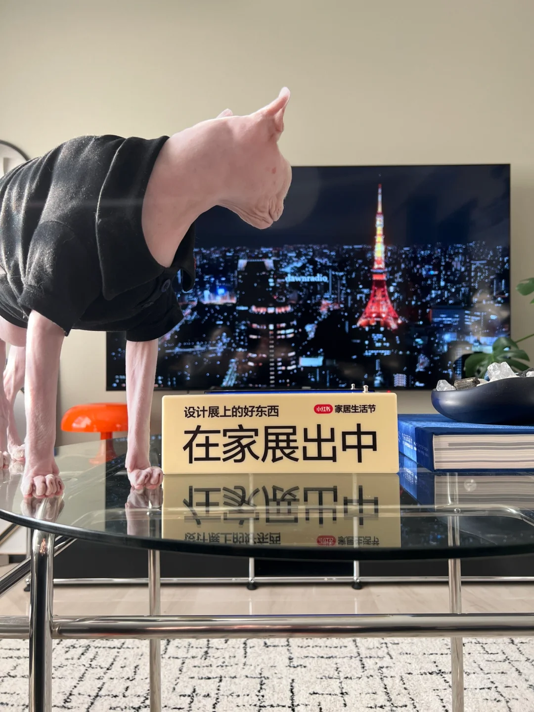 出息了?小红书来我家办展了