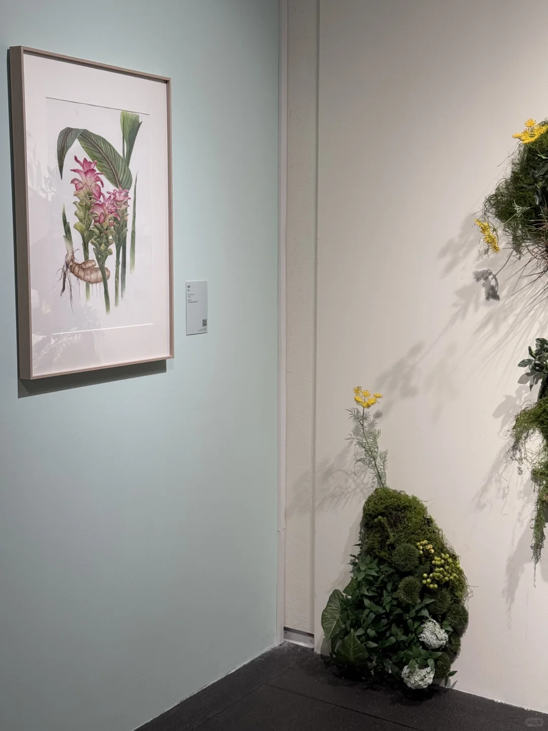 深圳｜7月，值得打卡的四个新展✔️附攻略