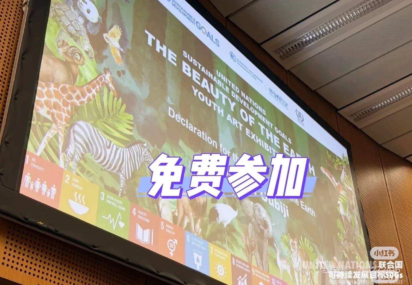 来参加免费联合国活动！！