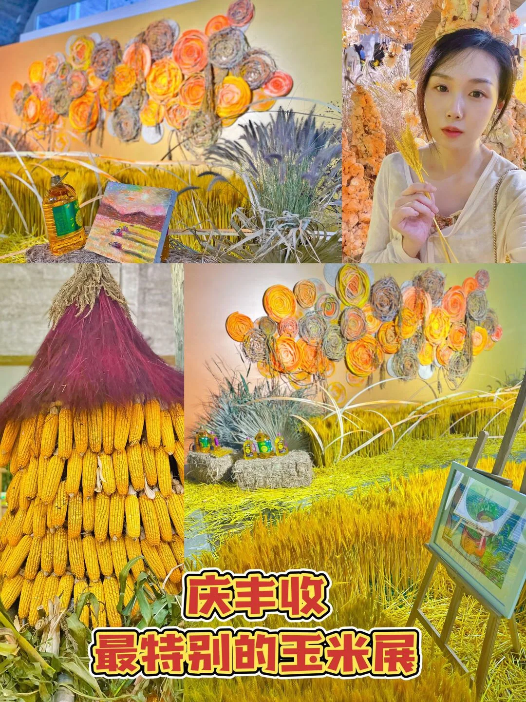 在收获的季节里打卡一场关于丰收的展览?