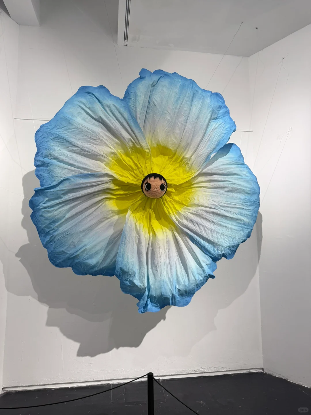 有被可爱到的艺术展?