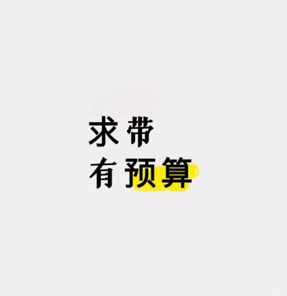 预算多，求带！