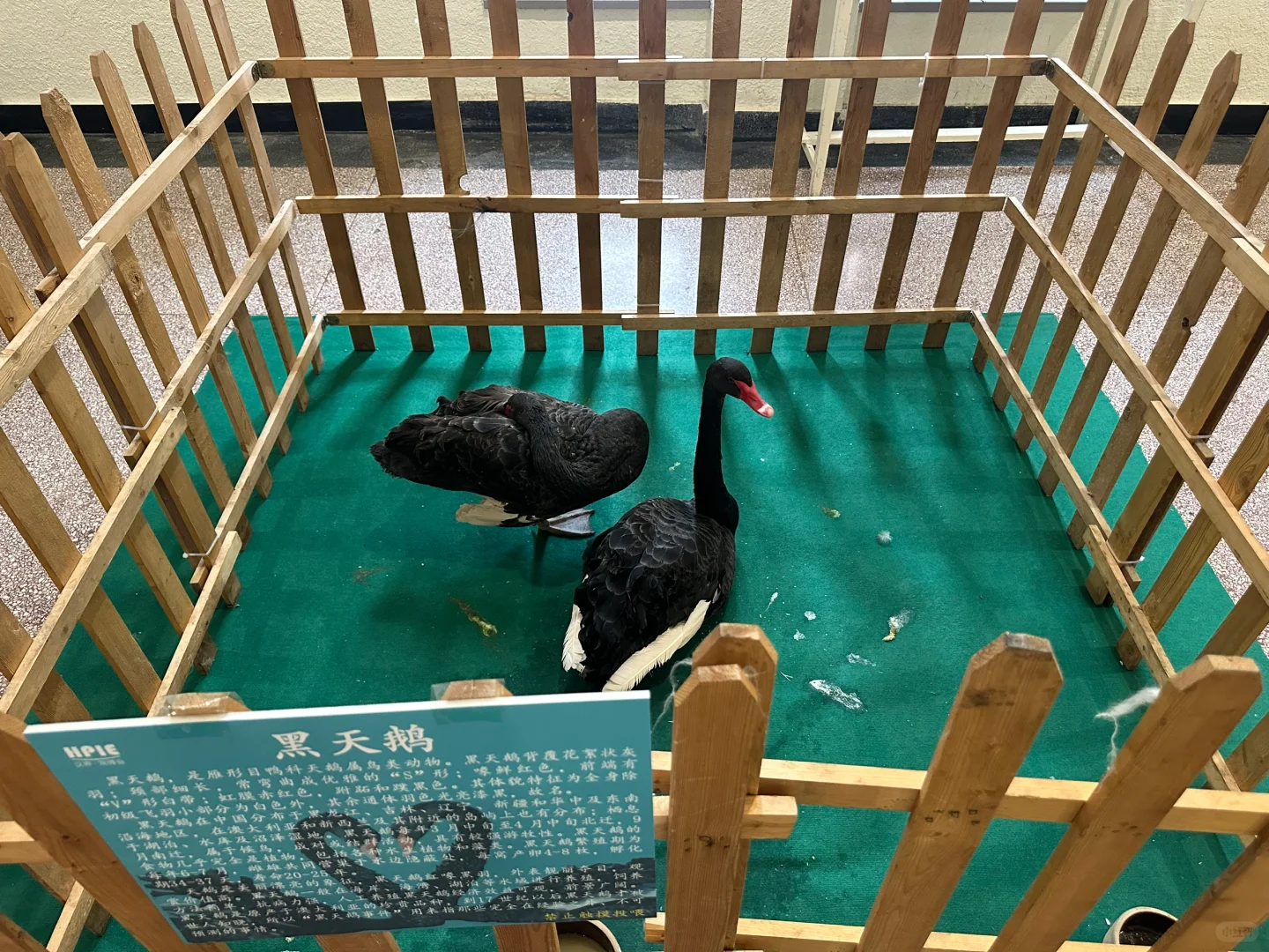 山西省展览馆