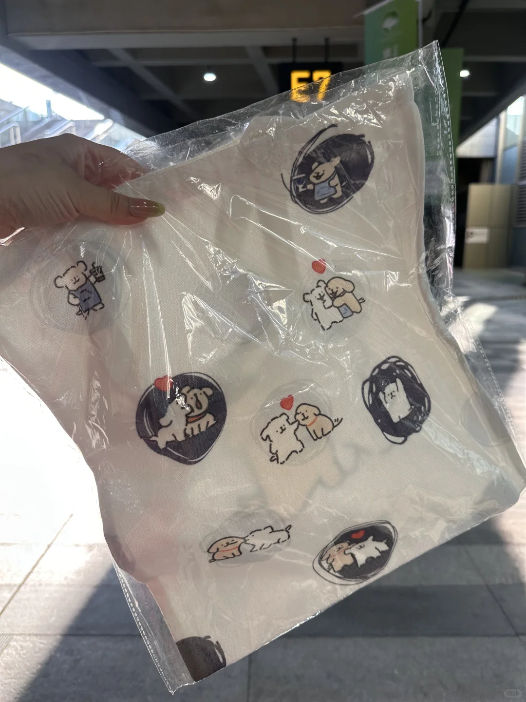 杭州茶博会 详细免费羊毛攻略