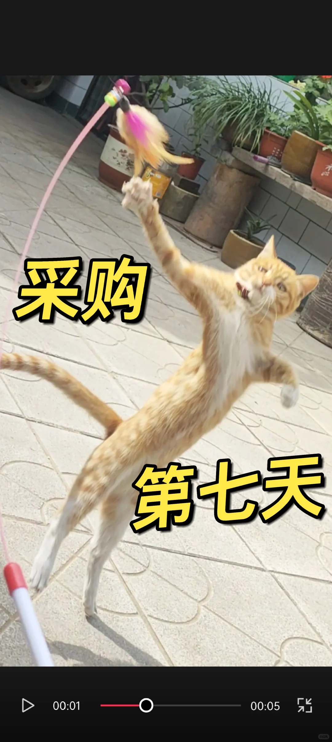 本采购试岗期结束！