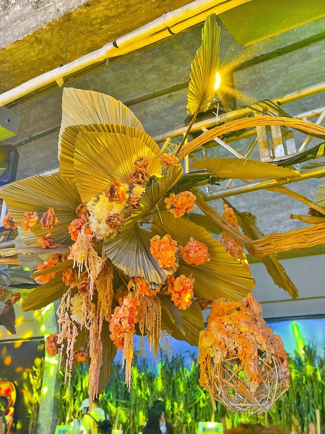 在收获的季节里打卡一场关于丰收的展览?