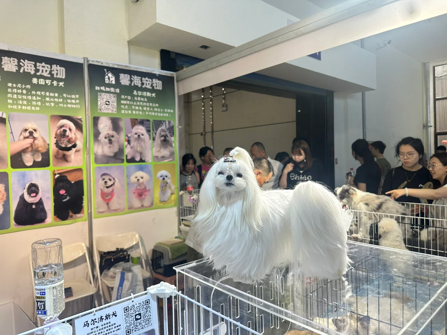 山西省展览馆