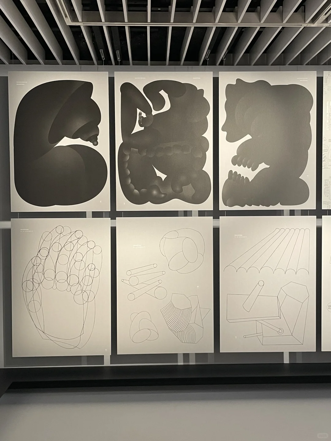 东京看展| 2025 JAGDA 新人奖展