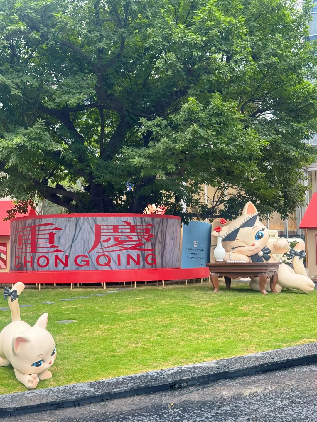 重庆！！开了！终于开了！除了震撼我无话可说！！