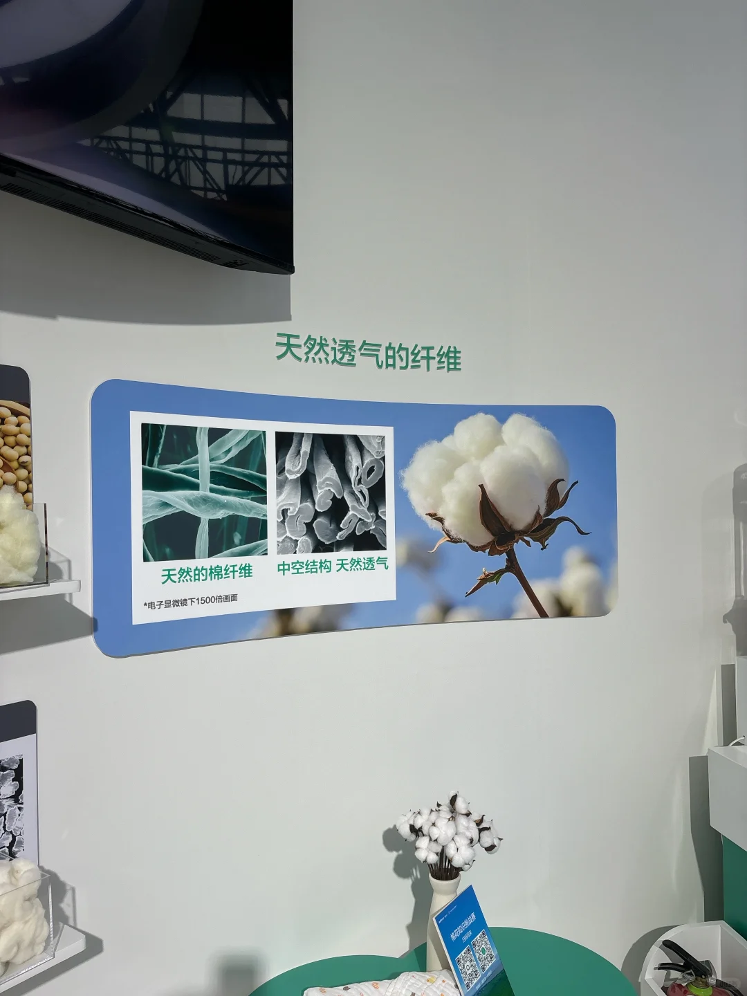 北京链博会打卡！钻进棉花的世界
