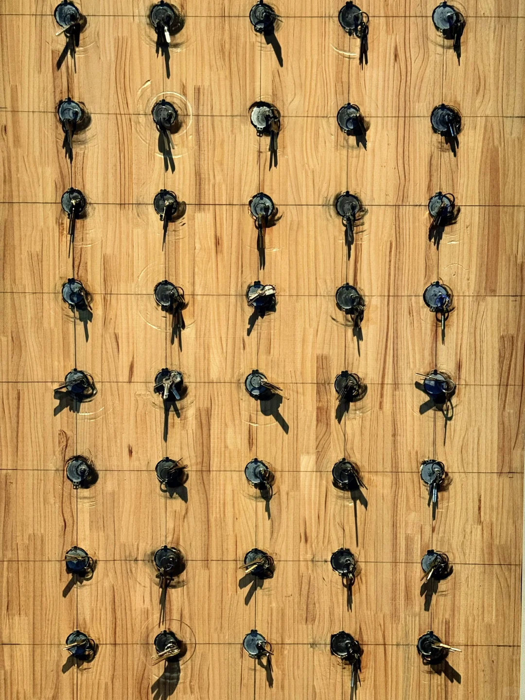 上海动态艺术展 | 想象力起飞 免费人少❗️