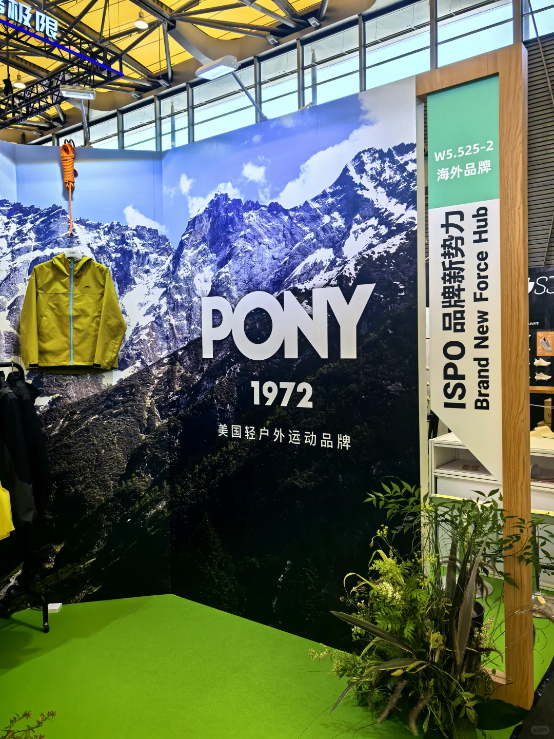 pony