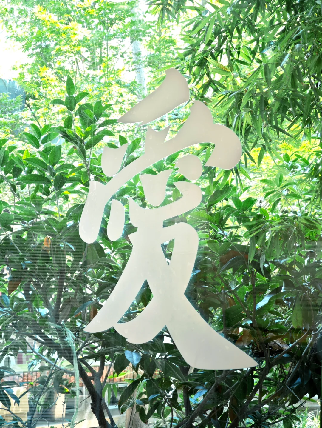 接下来的一个月，咖啡店里都是「爱」