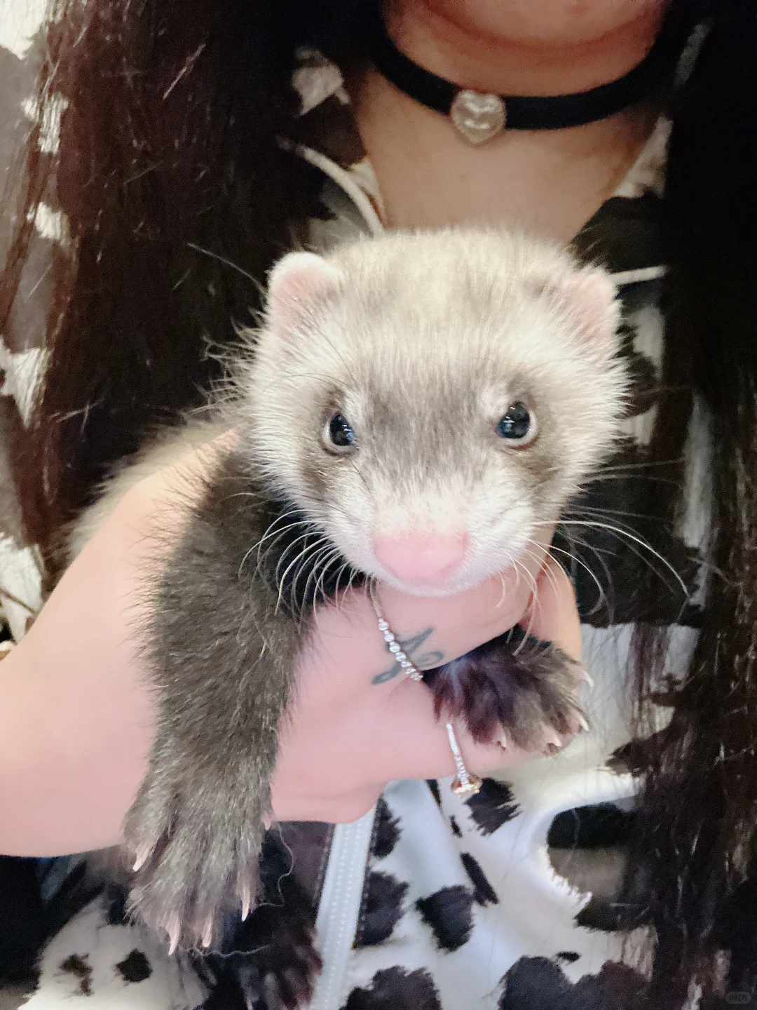 到了~打卡～