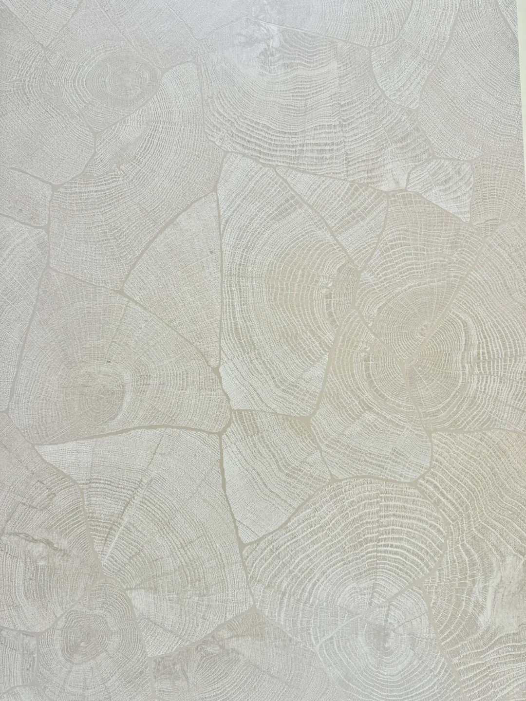 闲逛 ⚪️⚫️Design Shanghai 了吗