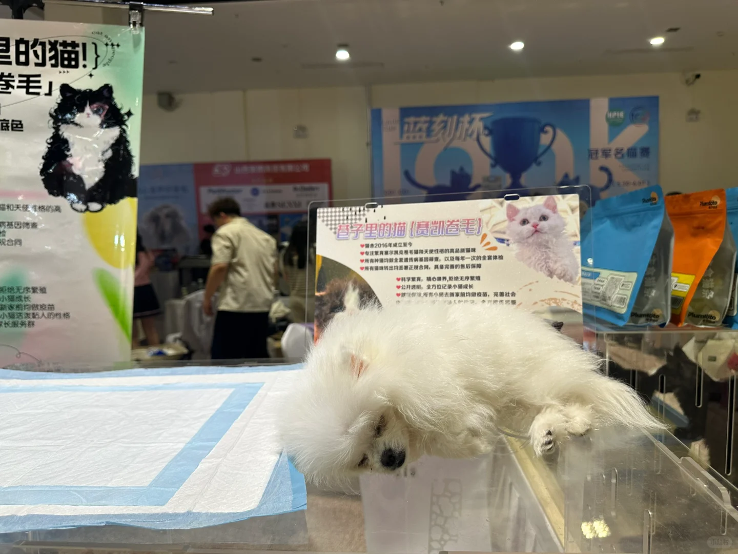 山西省展览馆