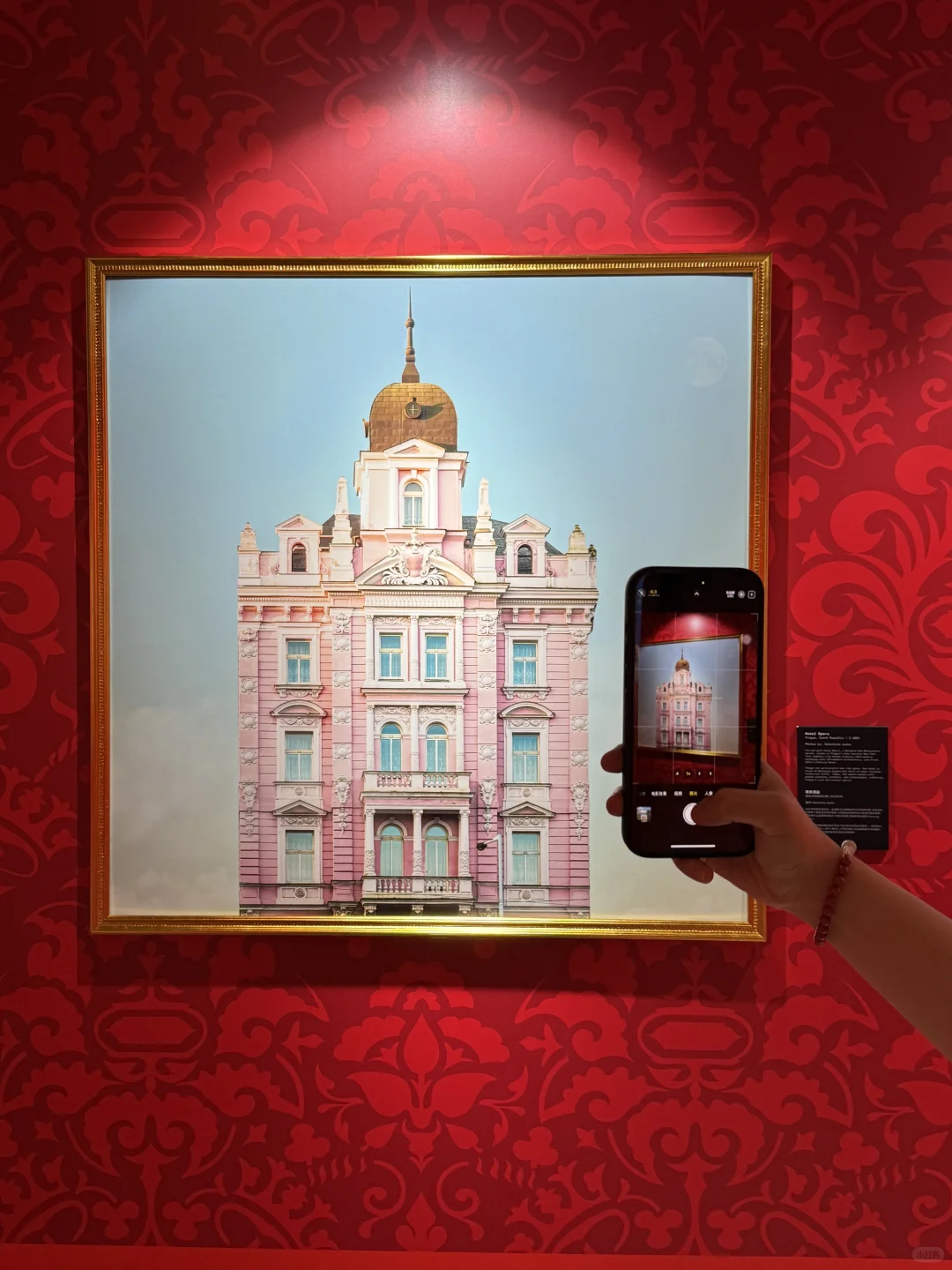 香港免费新展??闯入韦斯安德森的色彩美学