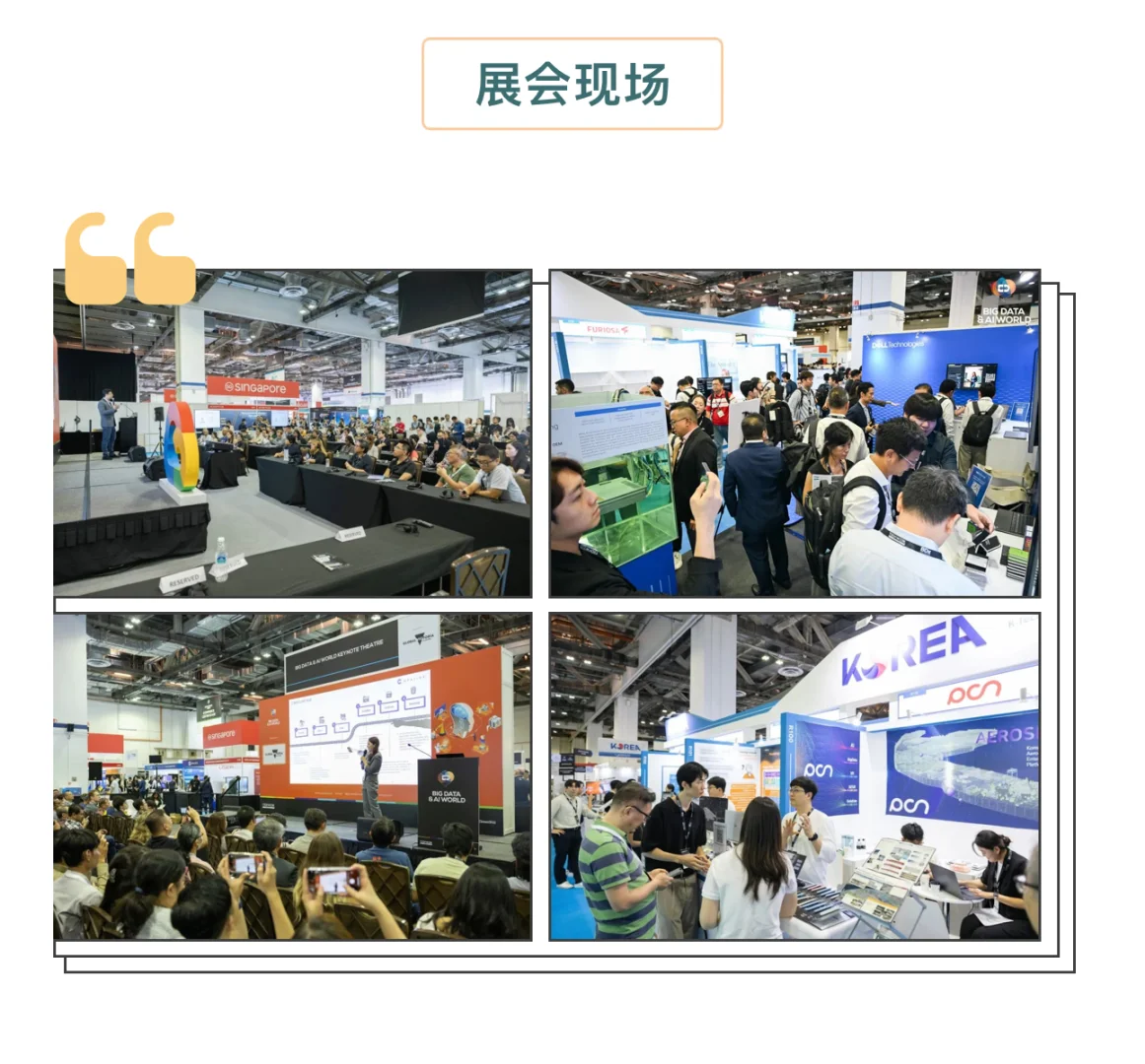 ?2025新加坡AI&大数据展