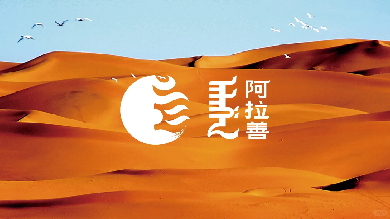 5/8DesignLab | 阿拉善盟城市品牌形象打造2