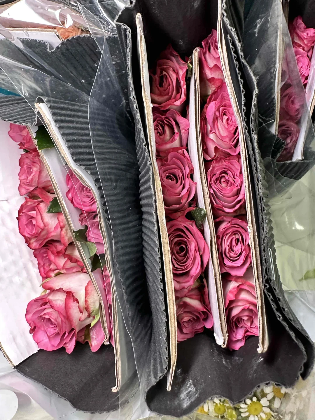 ?台州鲜花团购，花界 “pdd” 实锤！