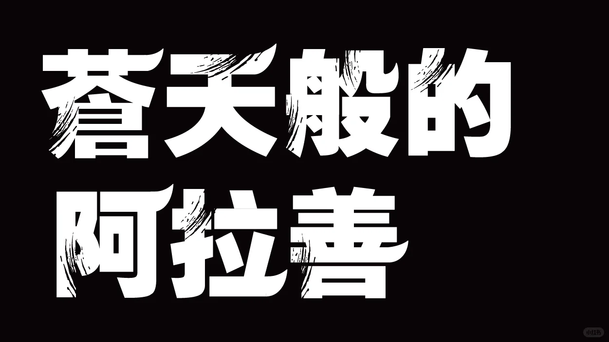 5/8DesignLab | 阿拉善盟城市品牌形象打造2