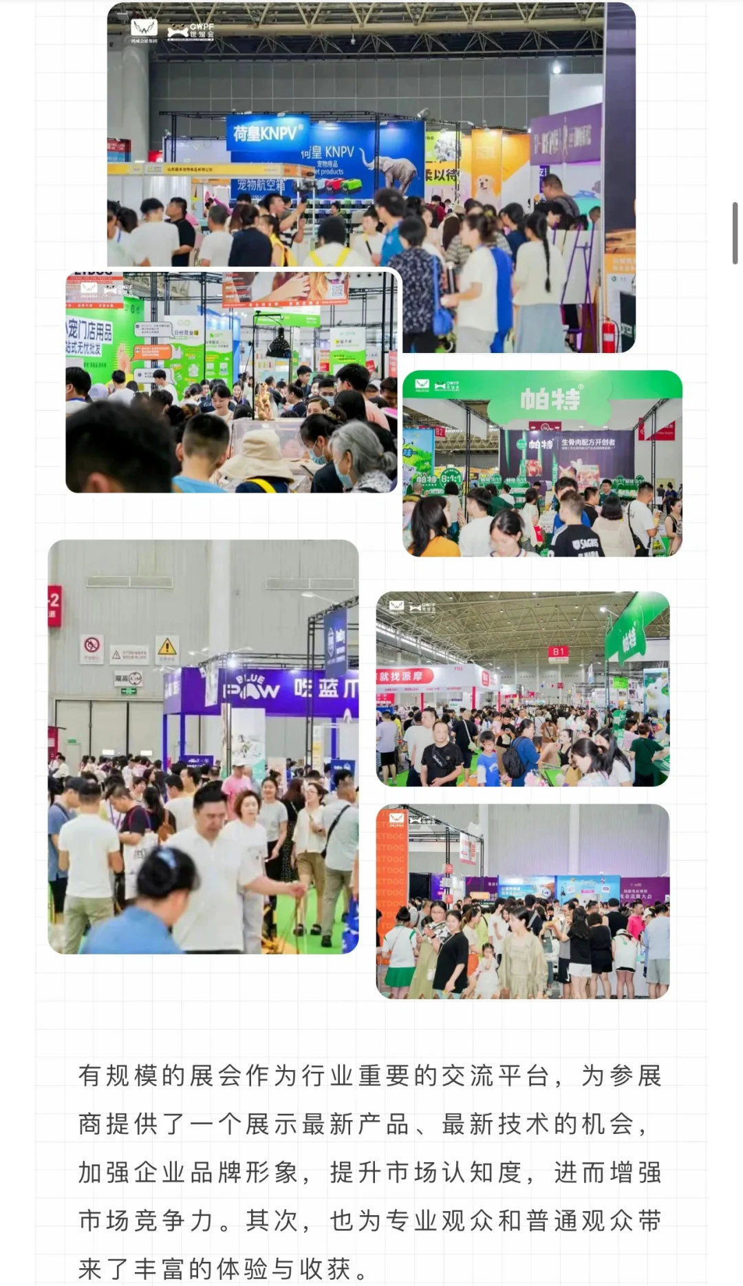 相约武汉世宠会特惠门票20啦‼️攻略送你