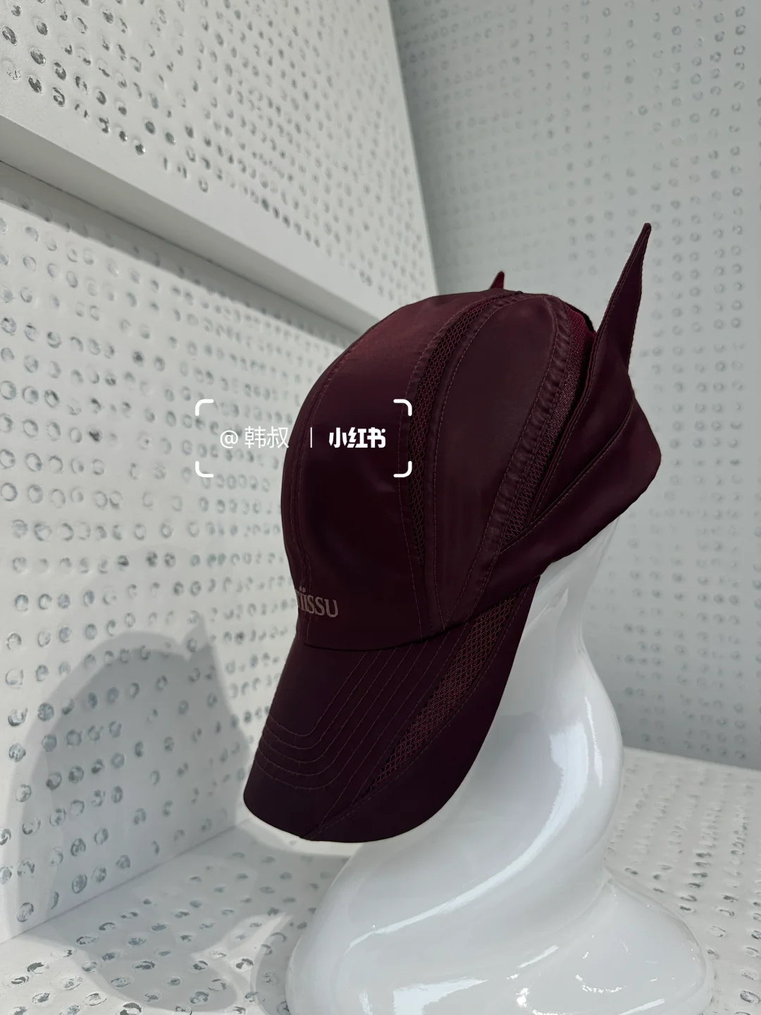 韩国Atiisu采购预告