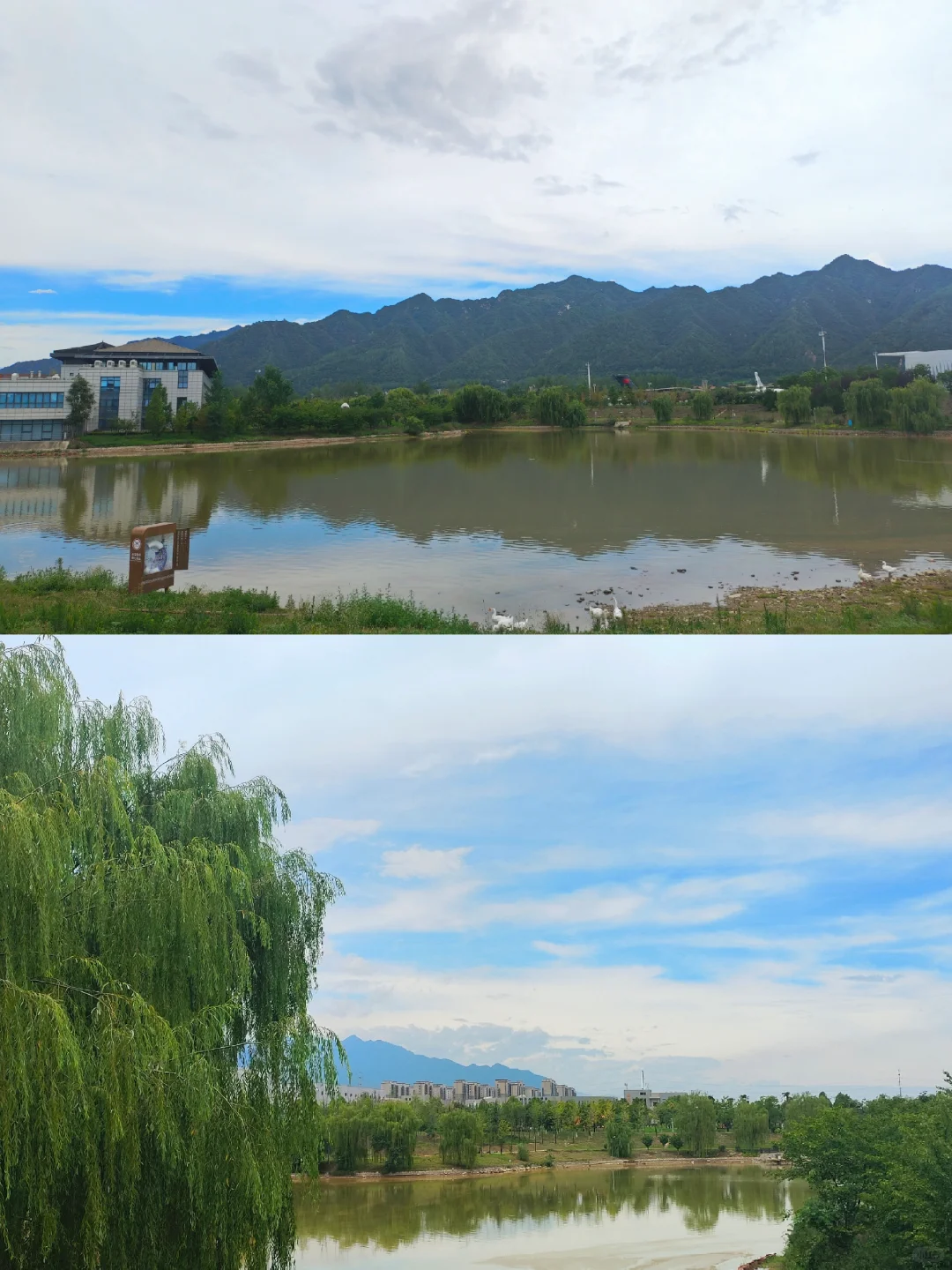 西工大室外飞机展火热进行中