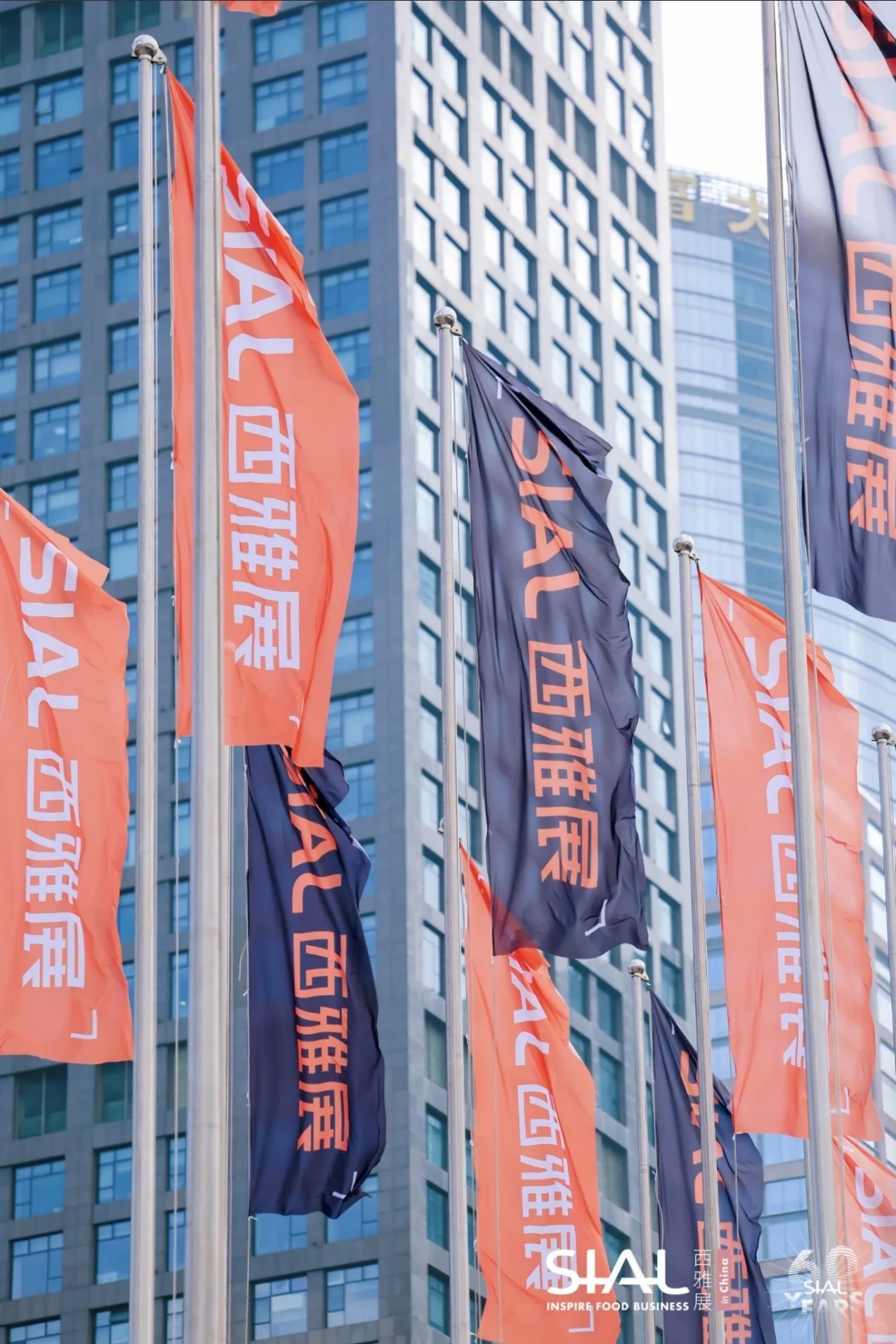 深圳展直播选品团