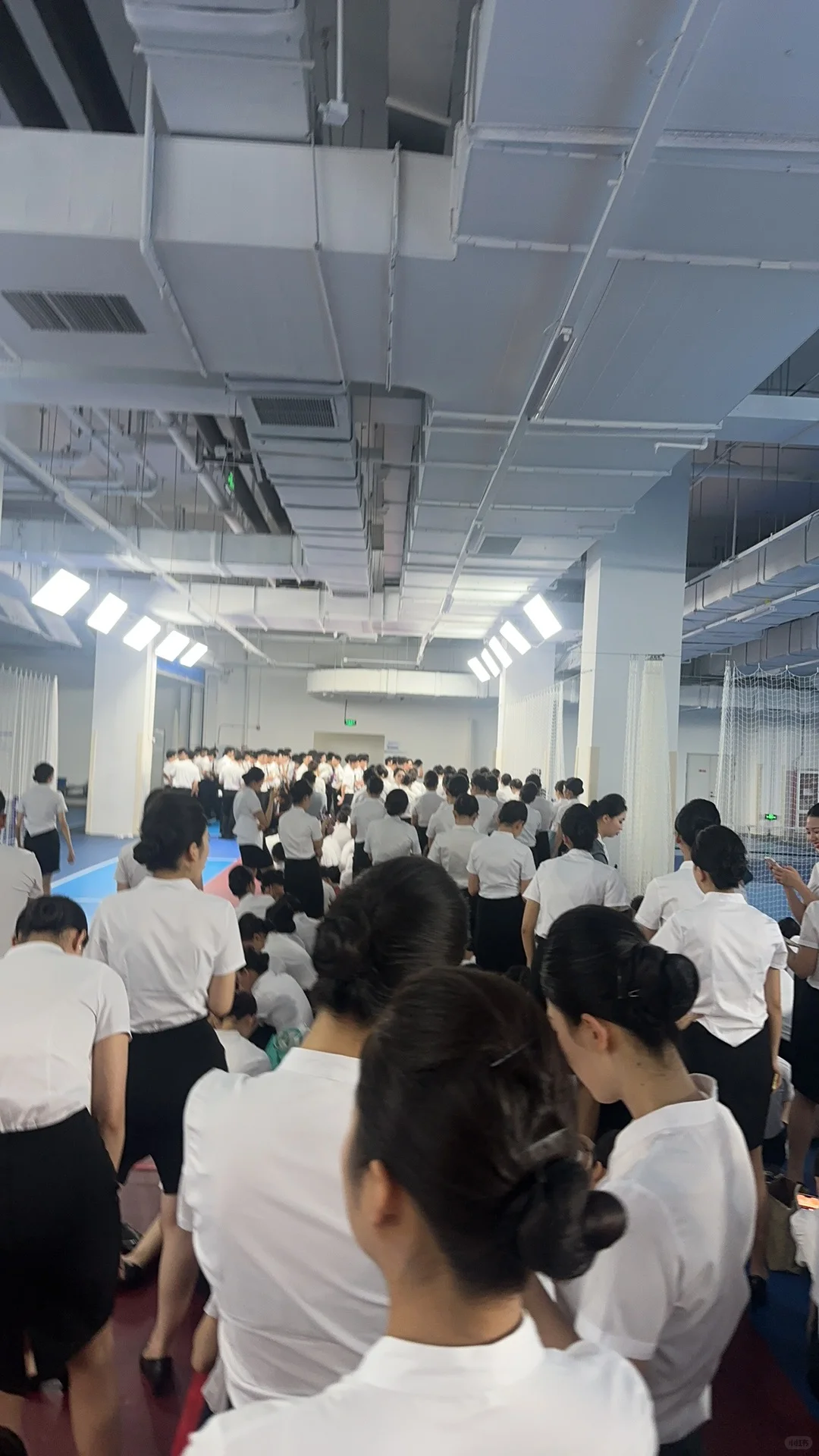 厦航四票通过✅