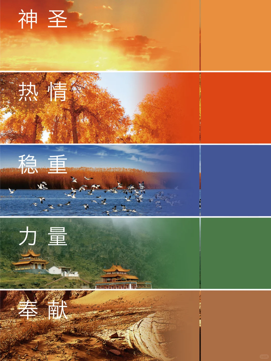 5/8DesignLab | 阿拉善盟城市品牌形象打造2