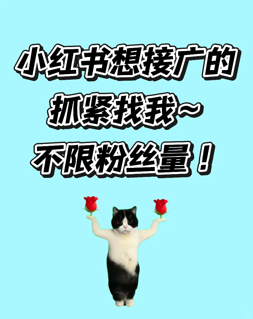 接产品种草的来！！